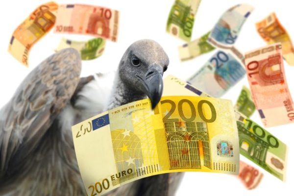 Symbolbild eines Geiers zwischen Euro-Geldscheinen
