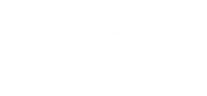 HanseMerkur