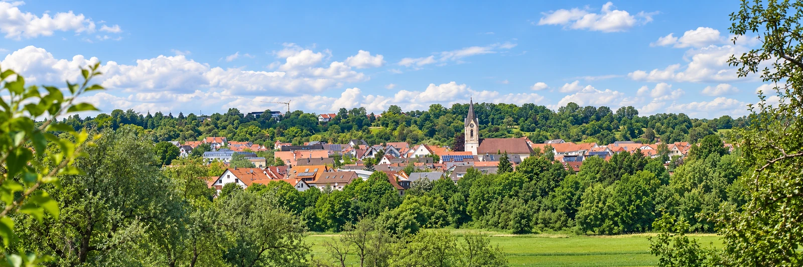 Ortsansicht von Pliezhausen – KI-gestaltetes Panorama