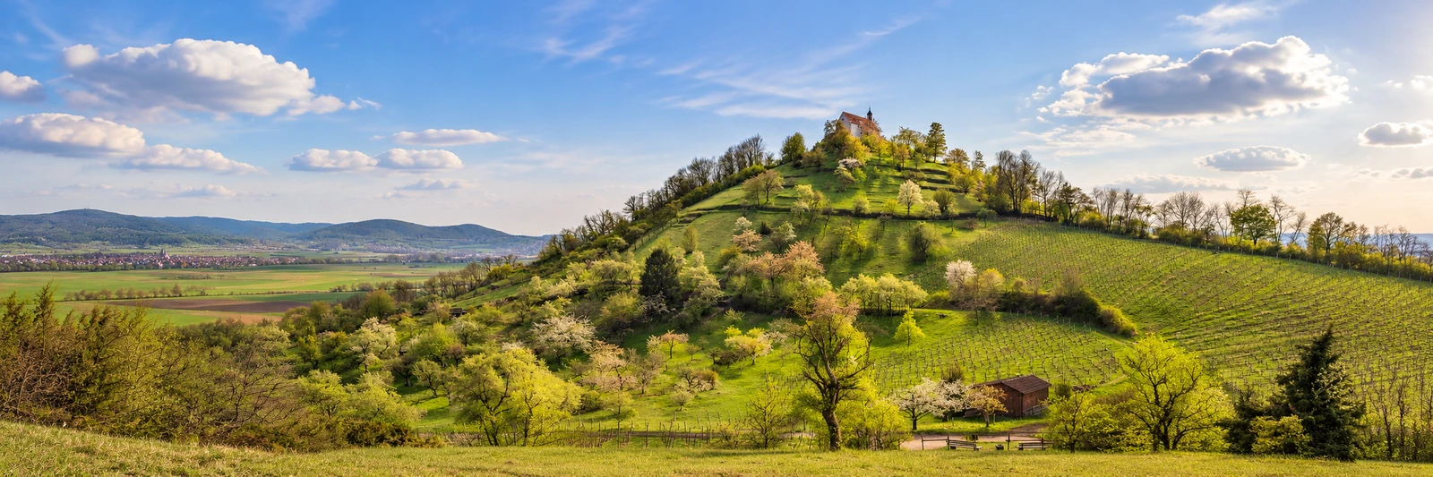 Wurmlinger Kapelle bei Rottenburg am Neckar – KI-gestaltetes Panorama